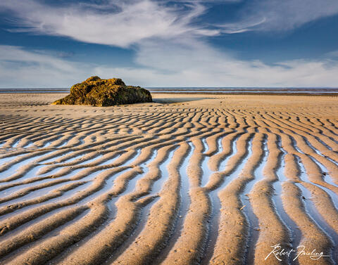 Low Tide