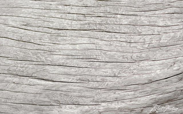 Alaskan print