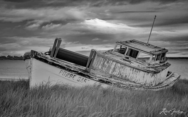 Days Gone By