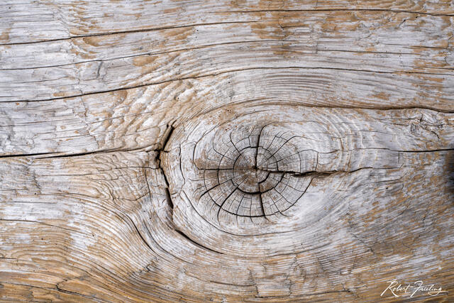 The Eye print