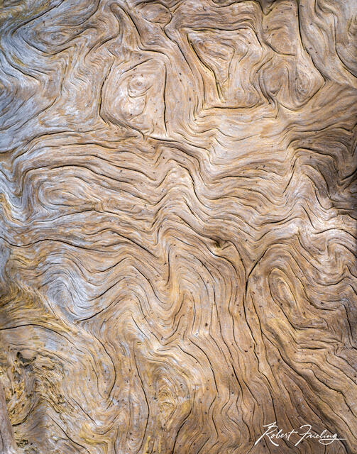 Vertical Lines print