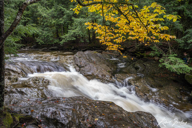 Fall Is In The Air print