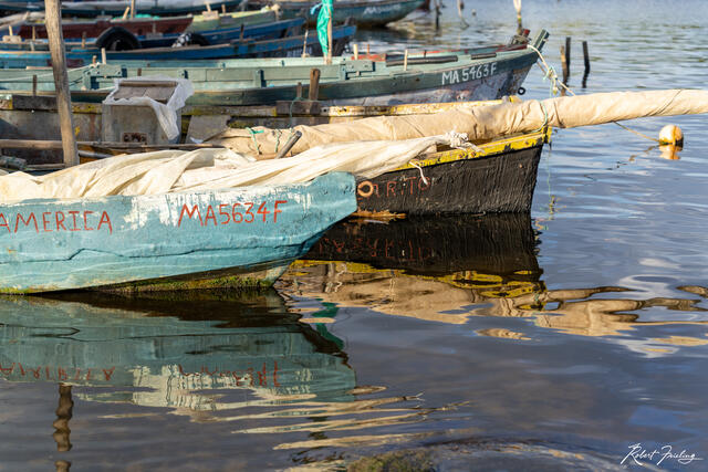 The Boats print