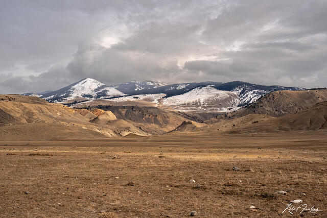 Yellowstone Days