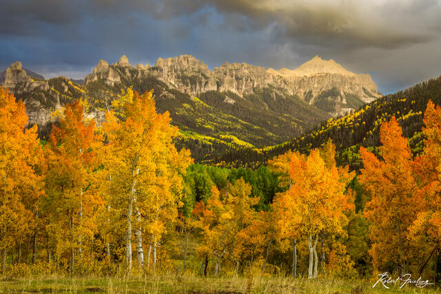 Golden Valley print