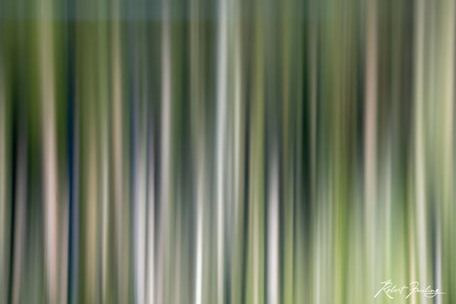 Grass print