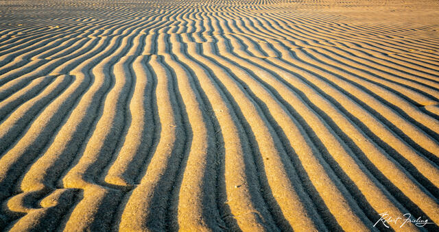Low Tide print