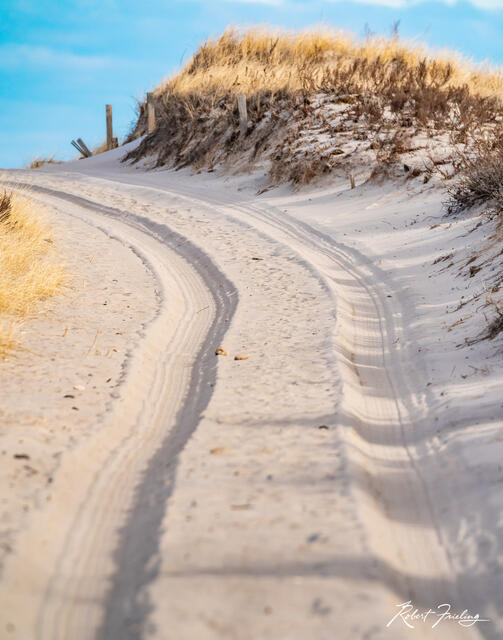 Off Roading print