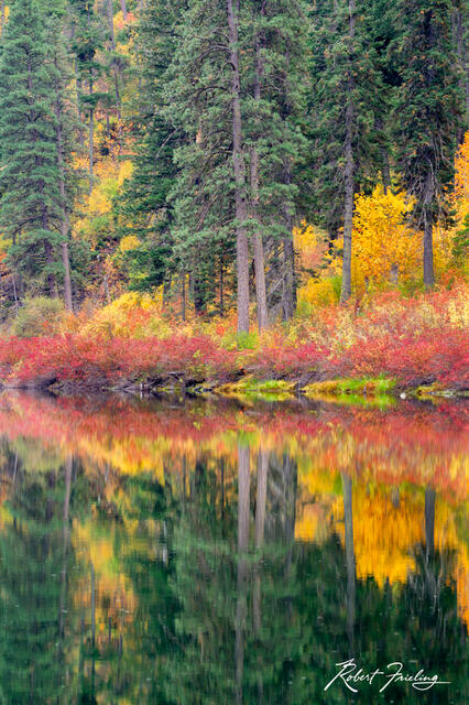 On Golden Pond print