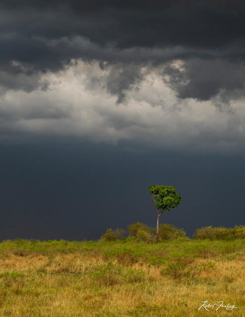 Incoming Storm print