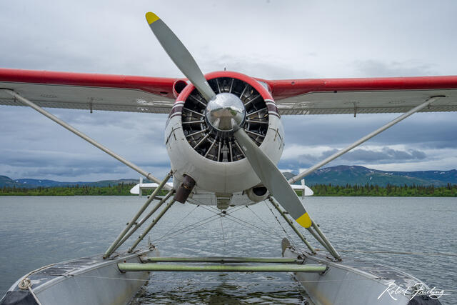 Super Cub print
