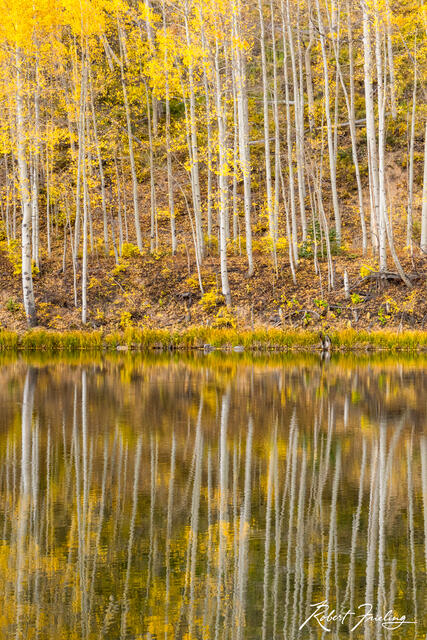 The Pond print