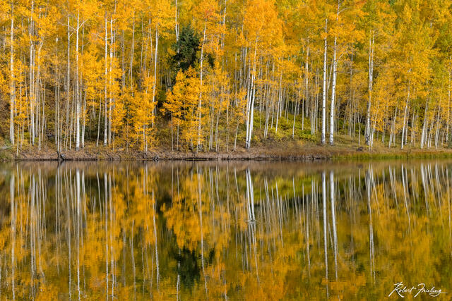Reflections of Autumn print