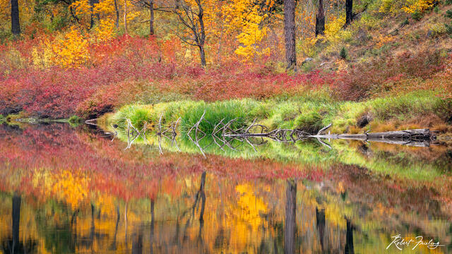 Mirror Image print