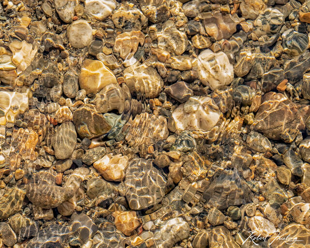 Underwater Worlds print