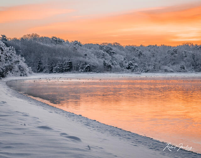 Winter Light print