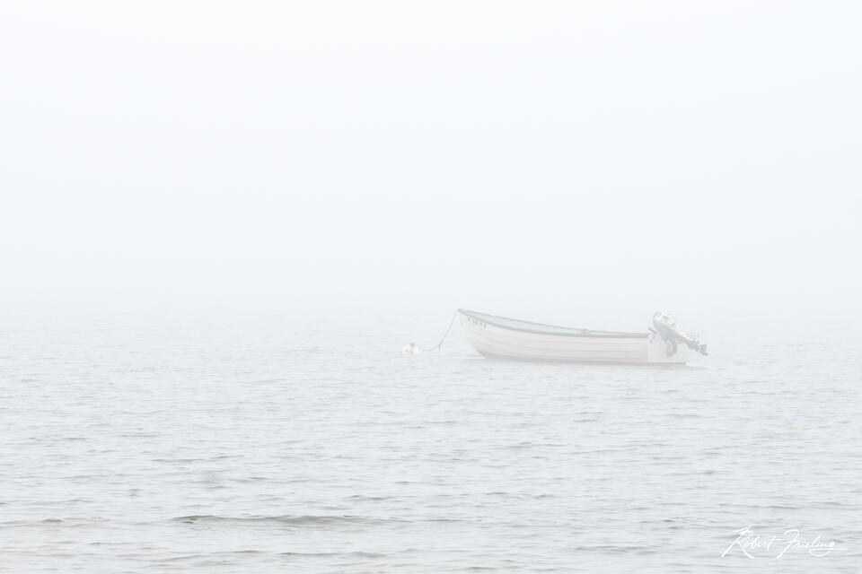 Lost In The Fog
