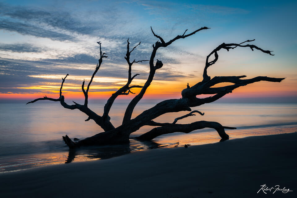 Driftwood Beach