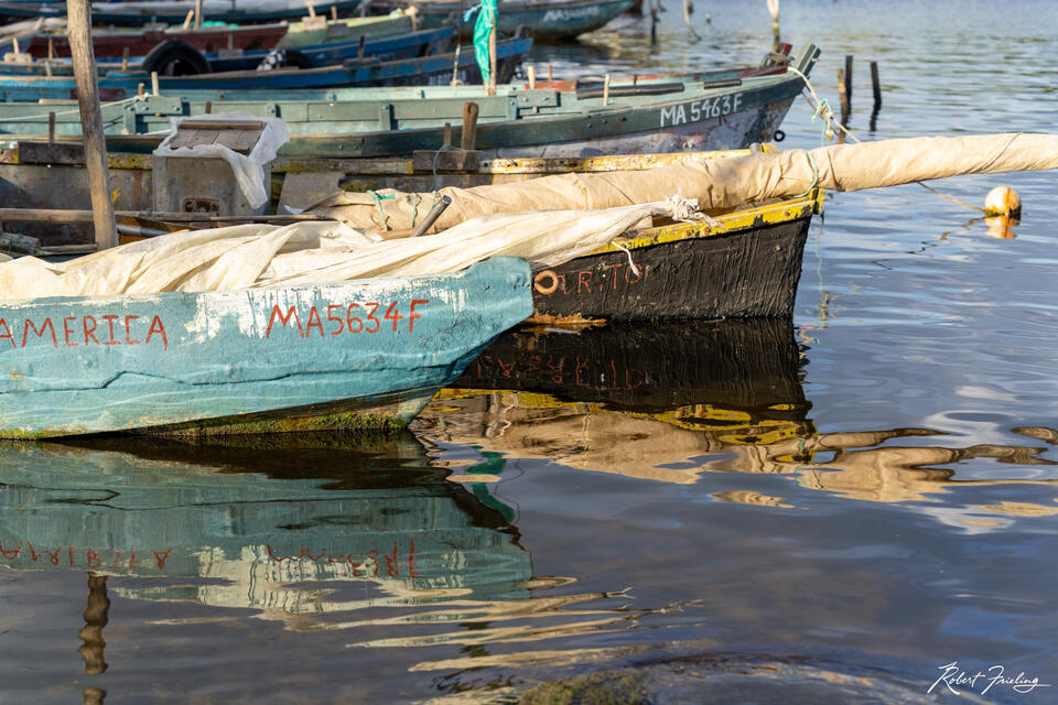 The Boats