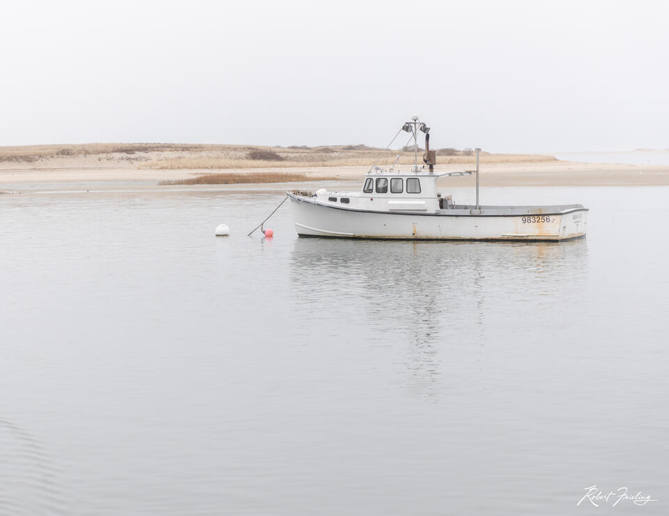 The Lobster Hunter