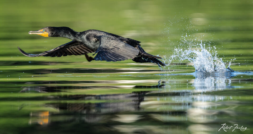 Take Off