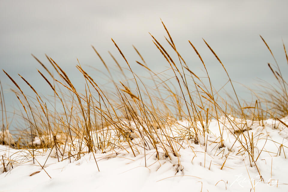 Winter Sands
