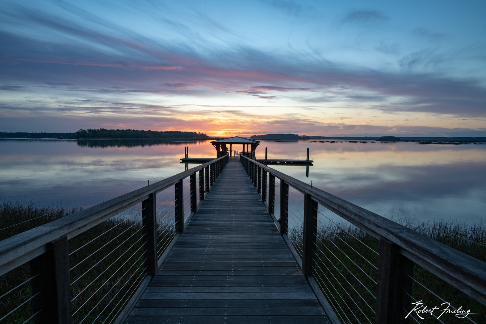 A New Day low country, mp conferance 2019, savanna, website