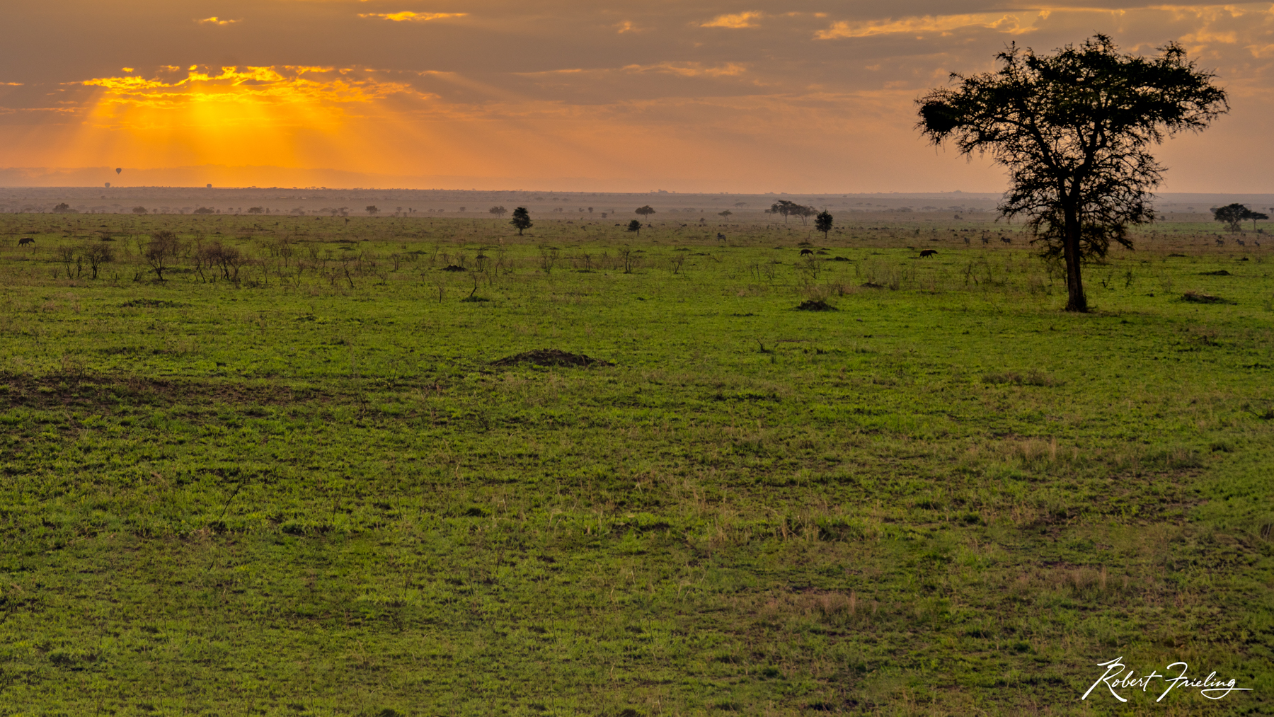 After The Rain Africa, hot air balloon, website