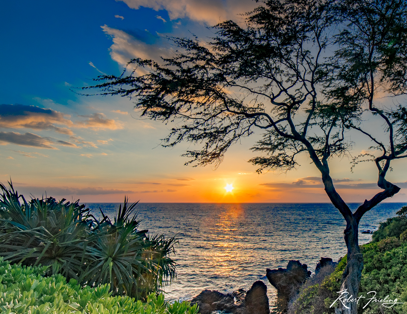 Fading Light 2016 mp conferance, Hawaii, interior decorating, website