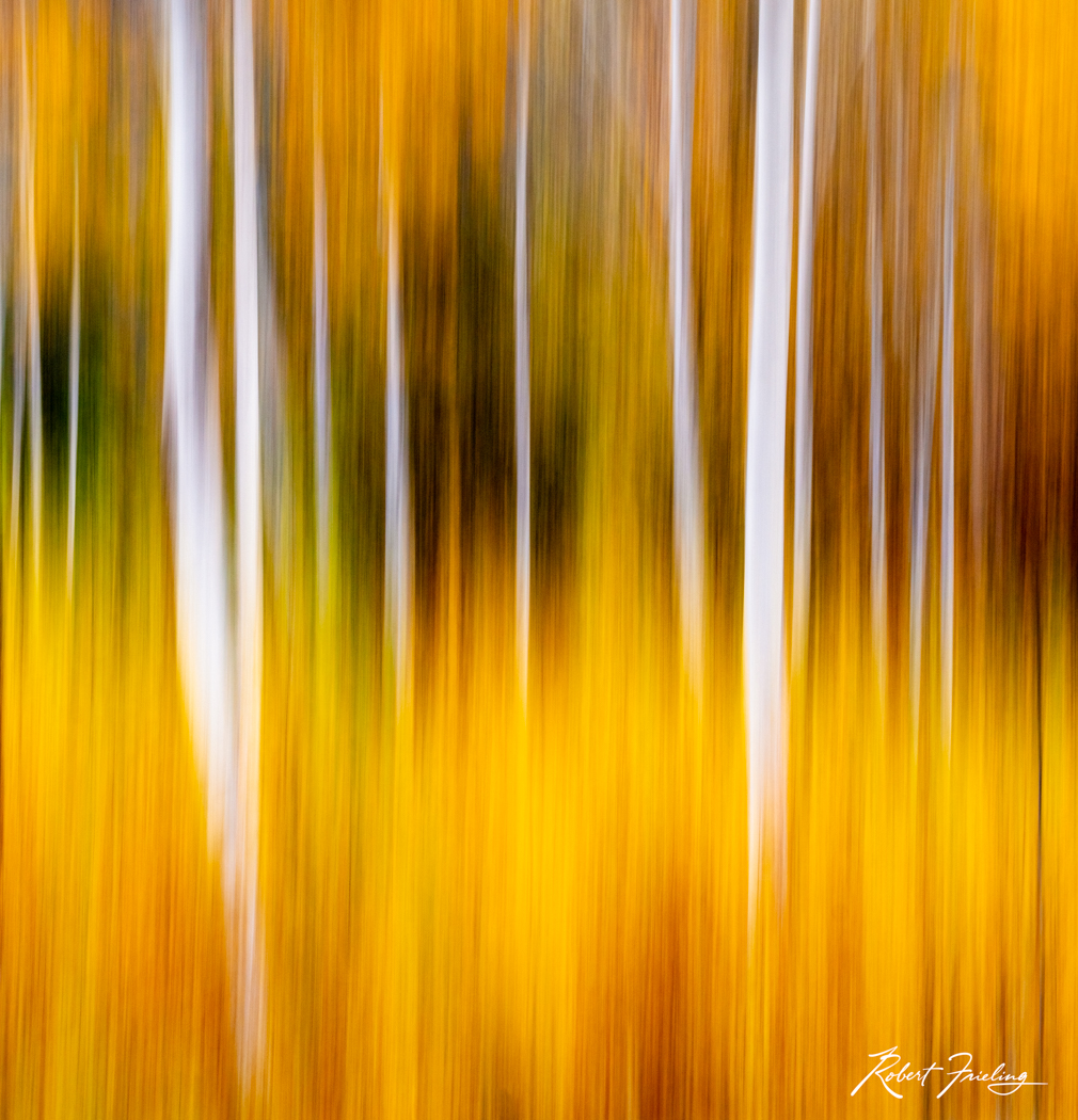 Swish Leavenworth, Seattle, aaron reed, fall colors, icm, website