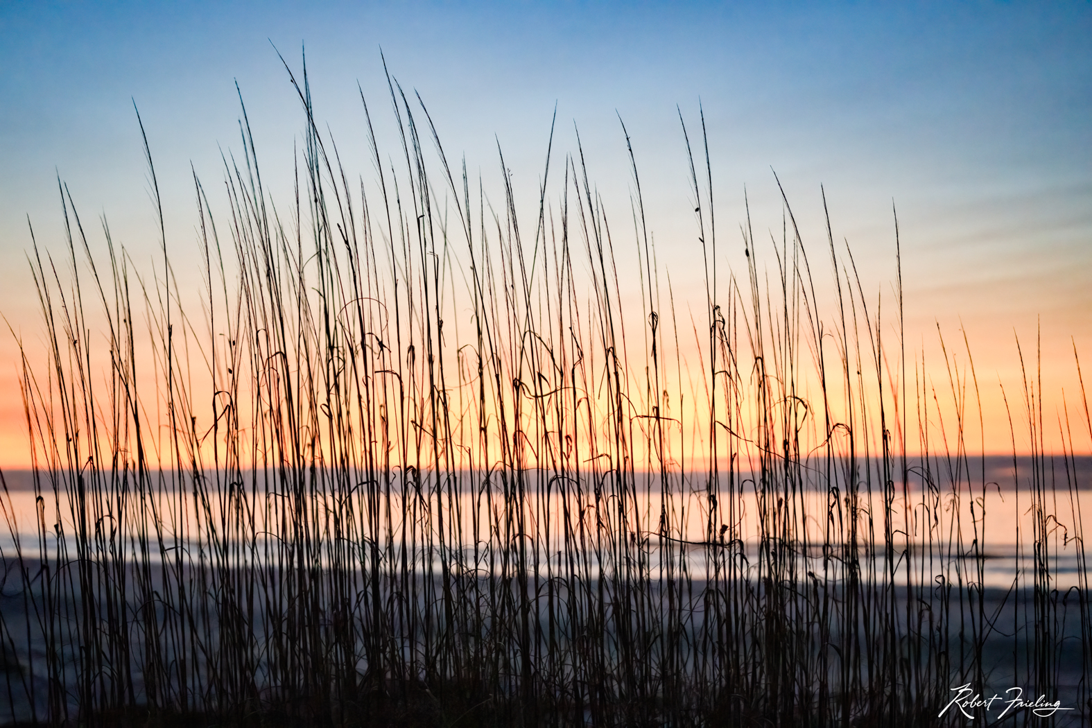 Looking Through The Grass hilton head, panning, sunrise, website