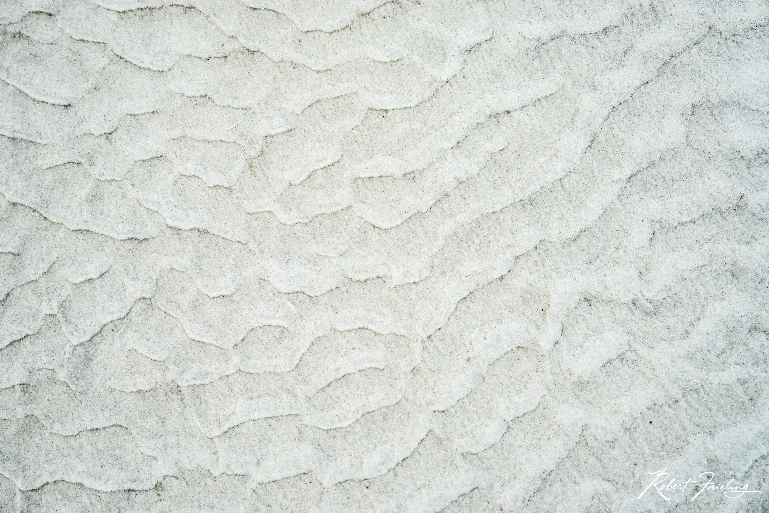 the Sands background, carly and charlie, fine art, hilton head, interior decorating, sand, website