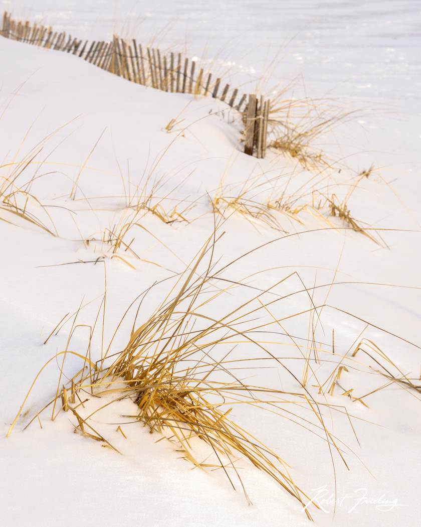 Plum Island Winters interior decorating, new england, snow, website