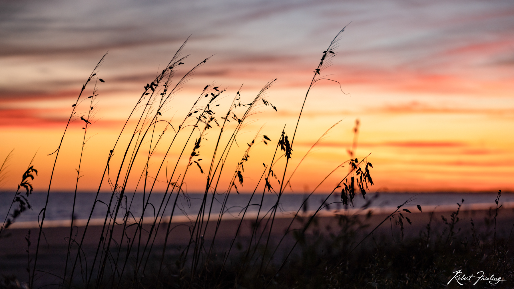 The Warmth of Sunrise sunset, website