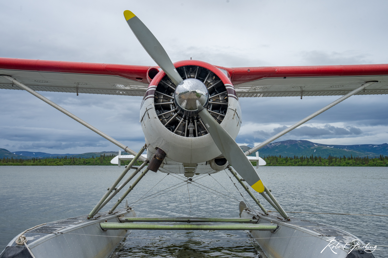 Super Cub Alaska, Whittier, anchorage, bears, brookfalls, brooks fall, cruise, denali, website, window