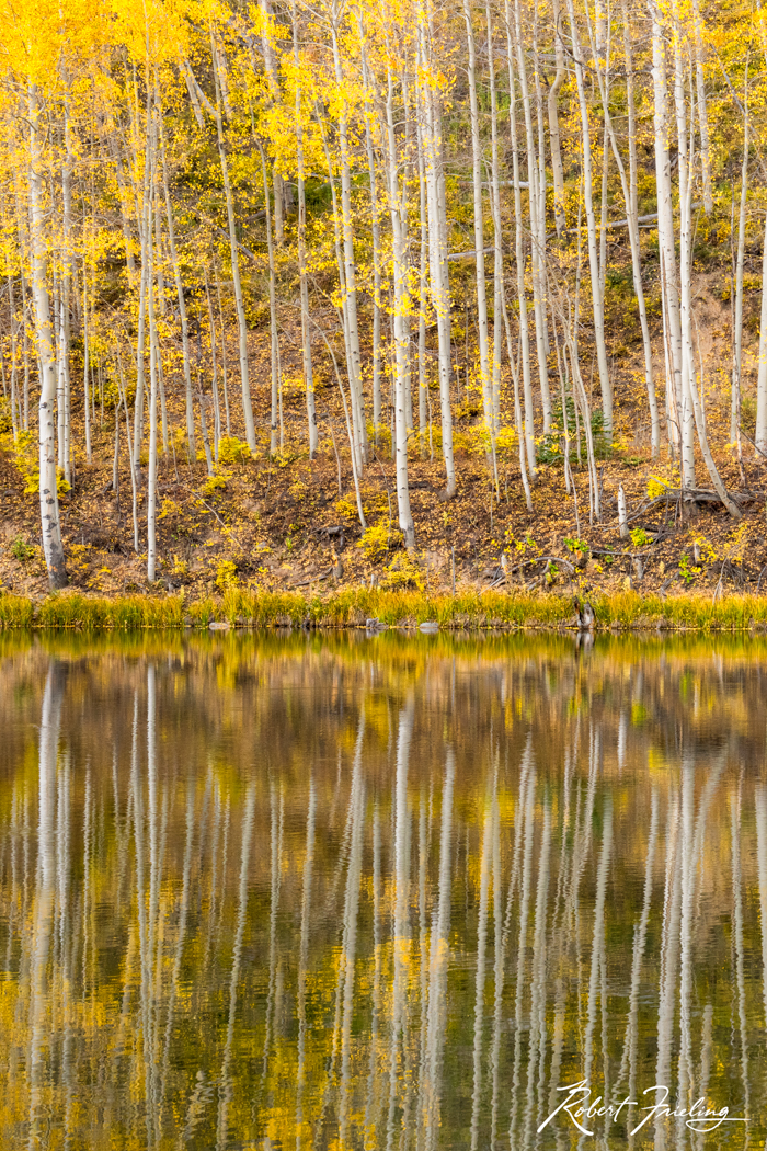 The Pond telluride, website