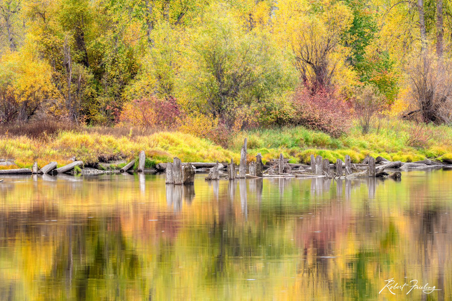 Fall on the River Leavenworth, Seattle, aaron reed, fall colors, website