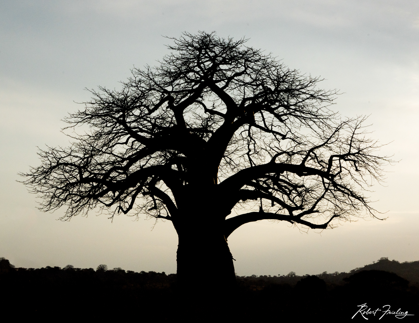 Upside Down Africa, website